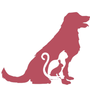 Animals website